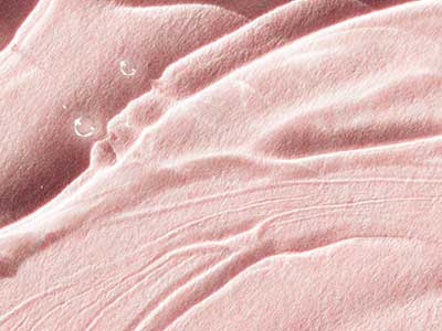 Glycerin Benefits